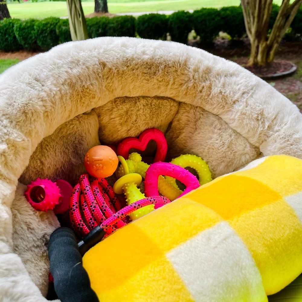 NWT🐾💗Small Dog Gift Bed Basket💗🐾Comes w/leash,blanket,8 great toys,plush…